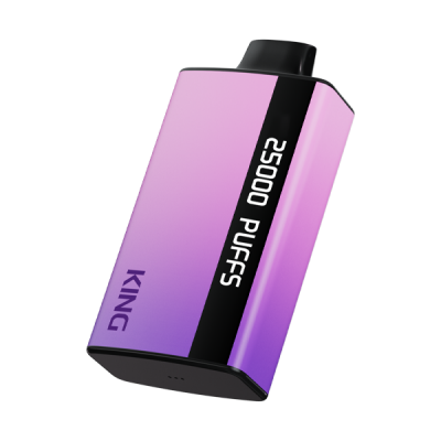 Disposable Vape 25K puffs 